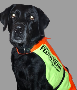 20241025_190840-removebg-preview